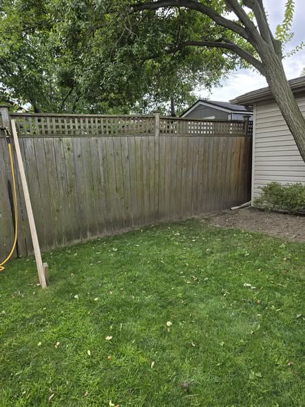 Backyard wood fence