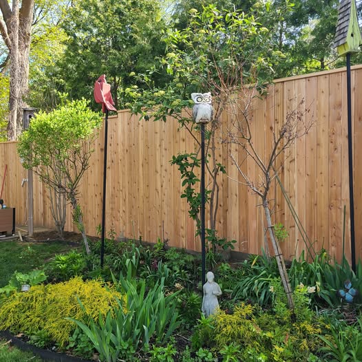 New cedar fence built by Suzie Q & Crew