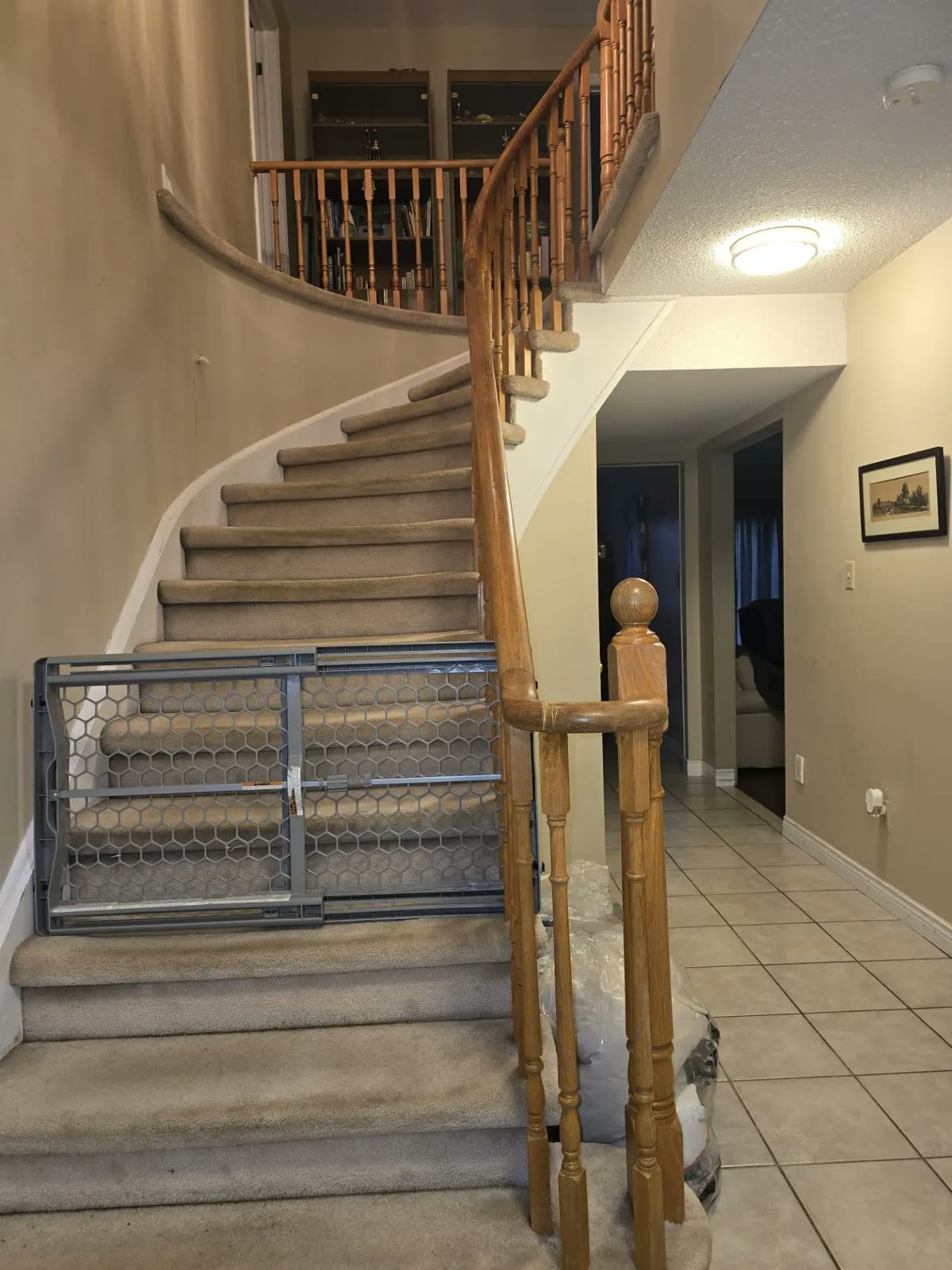Stairs before: carpeted treads and a honey-oak hand rail